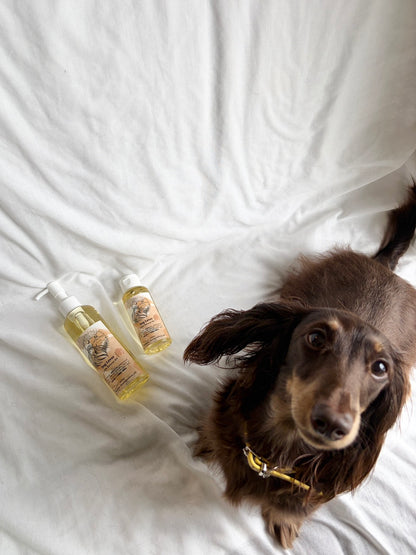 23 . SALE㊗️新発売🌿Dog Lover
