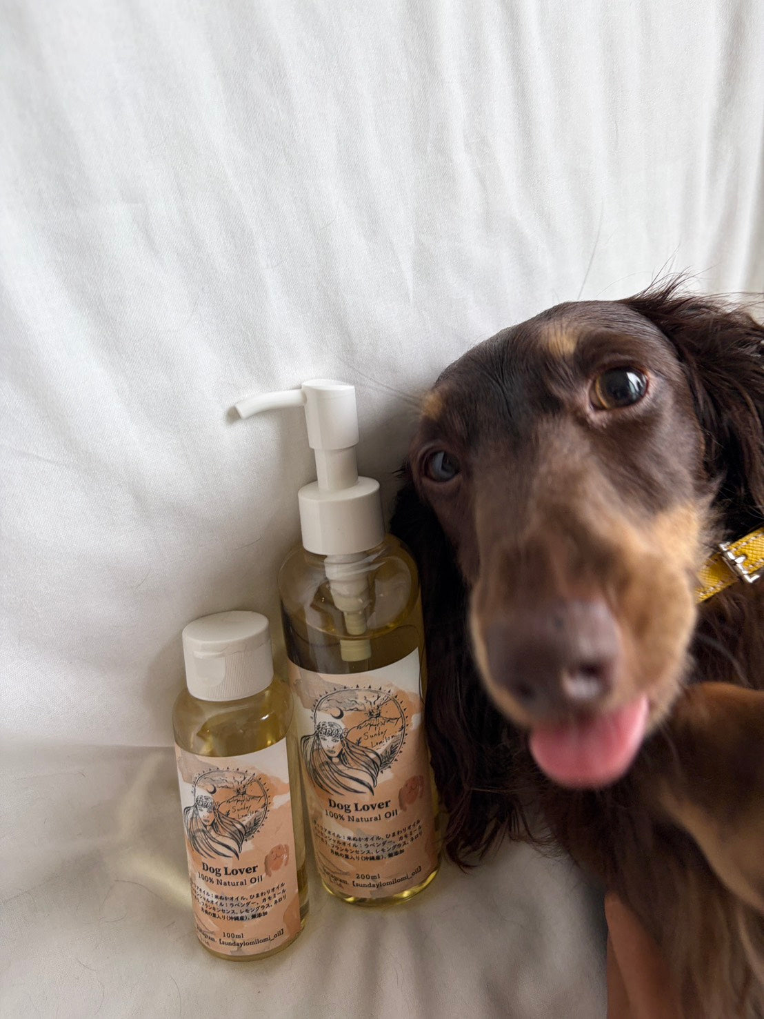 23 . SALE㊗️新発売🌿Dog Lover